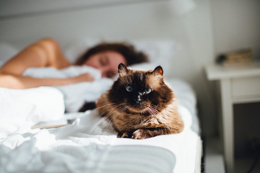 How to reduce anxiety naturally

A woman sleeping in bed with a cat on top of the bed